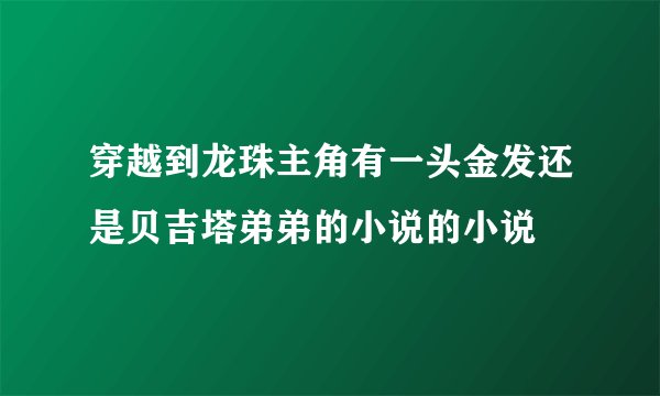 穿越到龙珠主角有一头金发还是贝吉塔弟弟的小说的小说