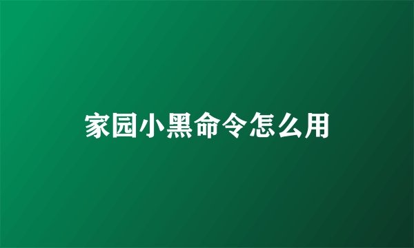 家园小黑命令怎么用