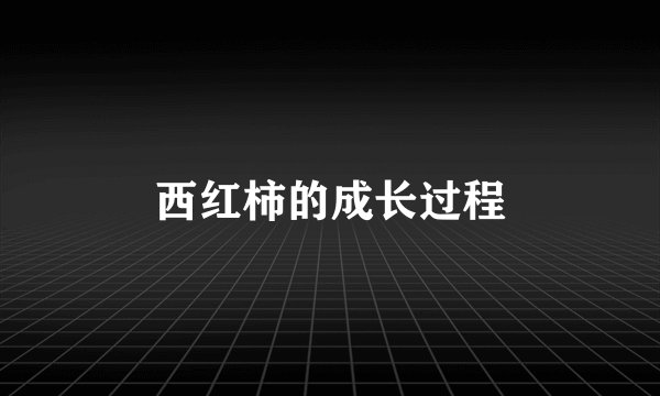西红柿的成长过程