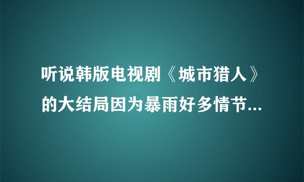 听说韩版电视剧《城市猎人》的大结局因为暴雨好多情节未完成,那真正的结局是什么?