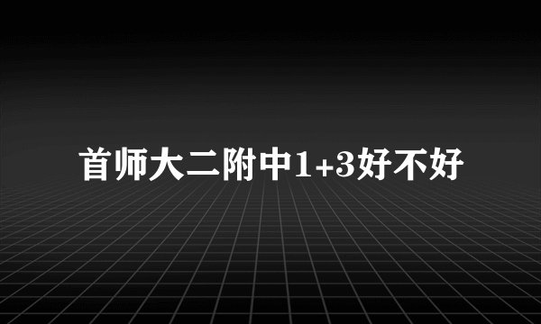 首师大二附中1+3好不好