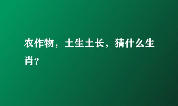 农作物，土生土长，猜什么生肖？