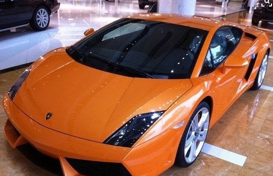 兰博基尼大牛小牛是什么意思