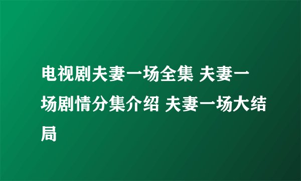电视剧夫妻一场全集 夫妻一场剧情分集介绍 夫妻一场大结局