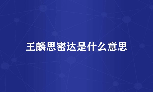 王麟思密达是什么意思