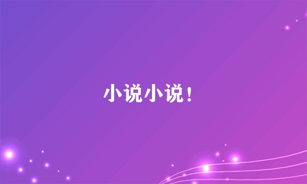 小说小说！