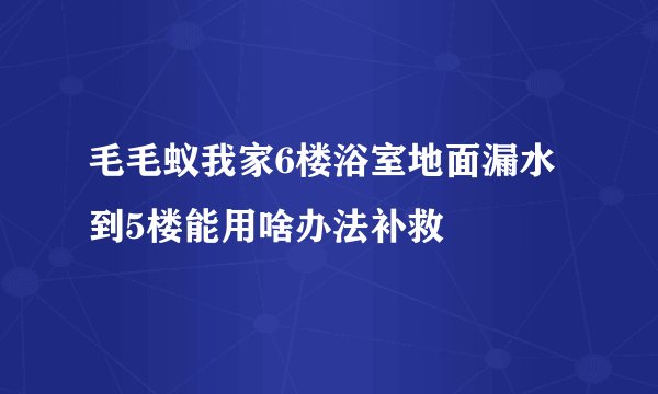 毛毛蚁我家6楼浴室地面漏水到5楼能用啥办法补救