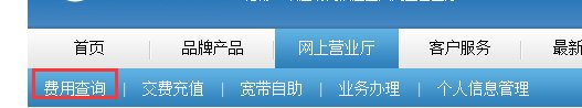 中国铁通怎么在网上查话费余额