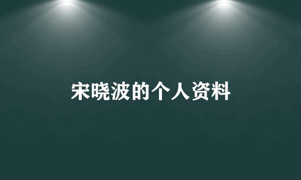 宋晓波的个人资料