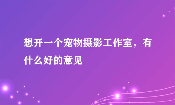 想开一个宠物摄影工作室，有什么好的意见