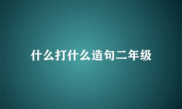 什么打什么造句二年级