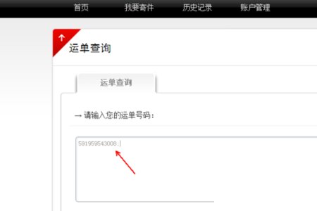 母单号可以查物流信息吗？