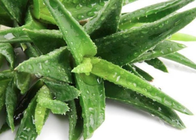 家庭怎样除甲醛最快 如何清除家里的甲醛？