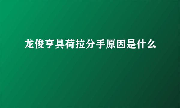 龙俊亨具荷拉分手原因是什么