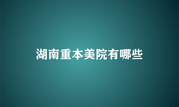 湖南重本美院有哪些