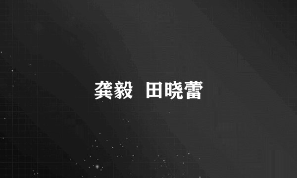 龚毅  田晓蕾