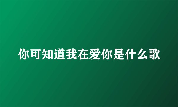 你可知道我在爱你是什么歌
