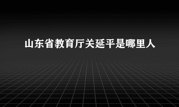 山东省教育厅关延平是哪里人