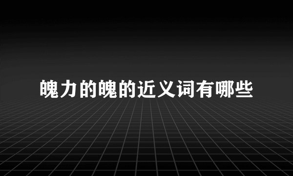 魄力的魄的近义词有哪些