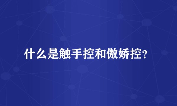 什么是触手控和傲娇控？