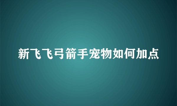 新飞飞弓箭手宠物如何加点