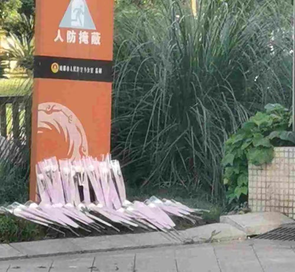 四川23岁女研究生校内从15楼坠亡，到底是他杀还是自杀？