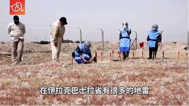 太飒了!14名伊拉克妇女将前往当地雷区排雷，40天培训能拿下此任务吗？