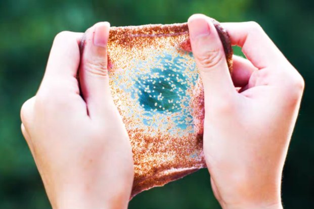 哪些祛痘美白产品效果很好，值得购买的？