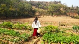 男子称未婚妻性冷淡要退彩礼，女子拒退，是真冷淡还是在骗婚？