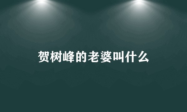 贺树峰的老婆叫什么