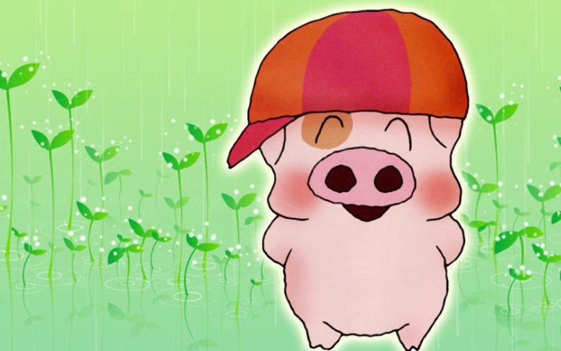 我的愿望是当一个校长的歌名是什么