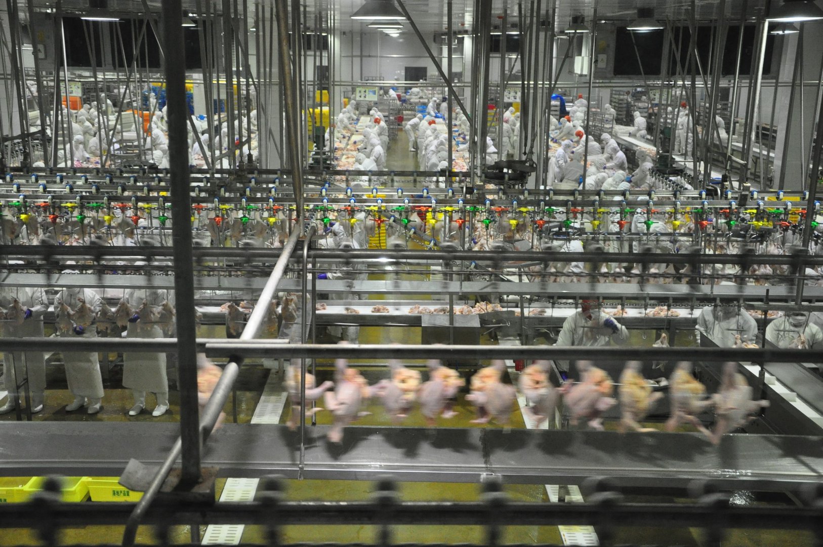 四川一食品厂发生的疑似有害气体中毒事件，造成了怎样的伤亡？