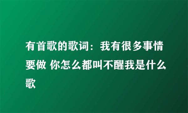 有首歌的歌词：我有很多事情要做 你怎么都叫不醒我是什么歌