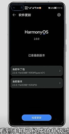 华为P40如何升级鸿蒙系统？？