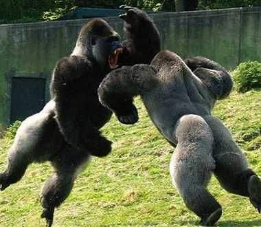 “四盒院凉凉”上热搜，网红主播为何一直受人追捧？