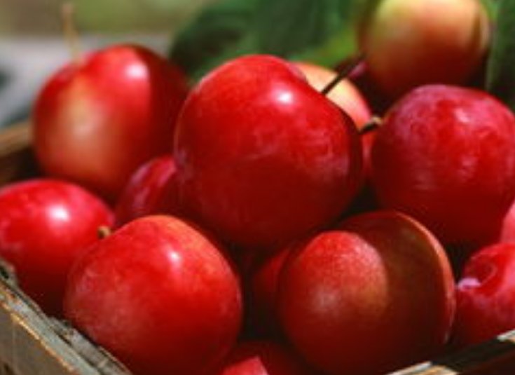 二年级语文什么像什么造句