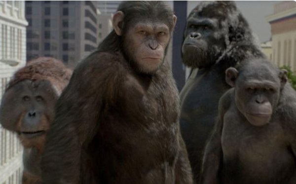 6部好看的电影推荐