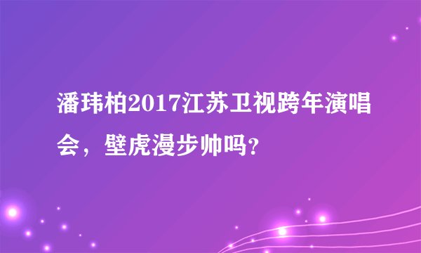 潘玮柏2017江苏卫视跨年演唱会，壁虎漫步帅吗？