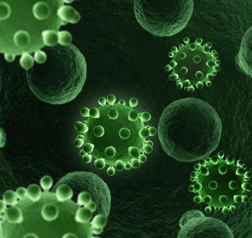 北京新发地疫情的溯源进展如何？