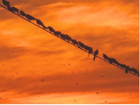 表达回家的发朋友圈的句子有哪些？