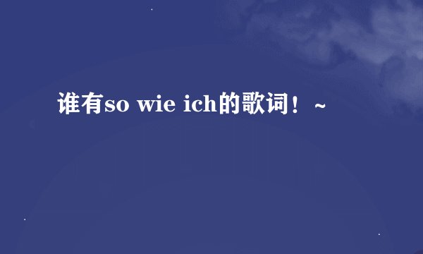 谁有so wie ich的歌词！~