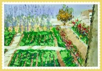 在淄博六中就读是一种什么体验？