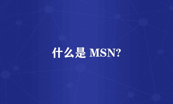 什么是 MSN?