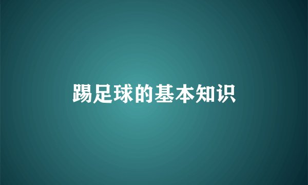 踢足球的基本知识