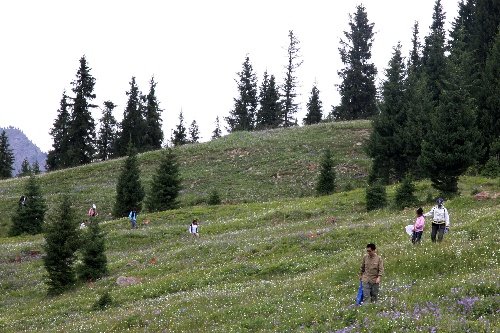 283名驴友在江西遇山洪被困致4人死亡，驴友户外探险必须学会哪些专业技能？