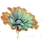 qq炫舞自定义情侣戒指透明图案