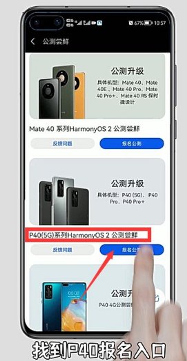 华为P40如何升级鸿蒙系统？？
