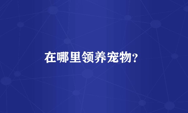 在哪里领养宠物？