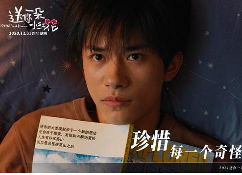 最新电影票房排行榜2021