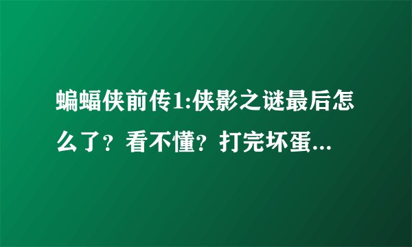 蝙蝠侠前传1:侠影之谜最后怎么了？看不懂？打完坏蛋的之后的请描述一下~谢谢~